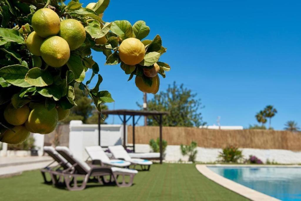The Lovely Villa Ibiza Exteriör bild